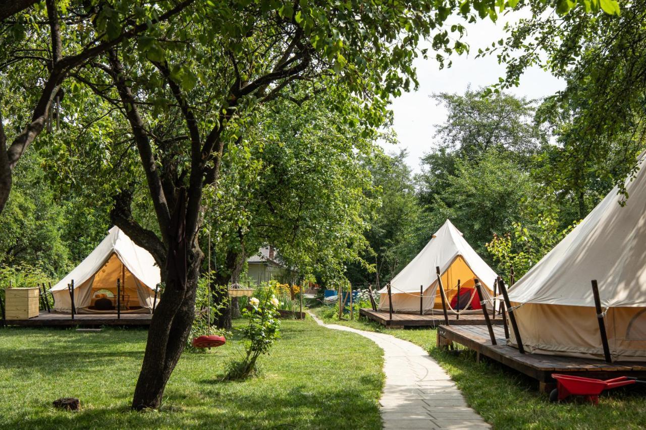 Dragonfly Gardens Urban Glamping Brasov Hotel Exterior photo